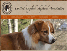 Tablet Screenshot of englishshepherdsunited.org